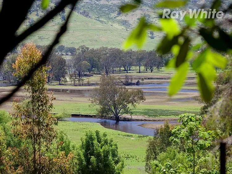 Fifth view of Homely rural property listing, 380 Omeo Highway, Tallangatta VIC 3700