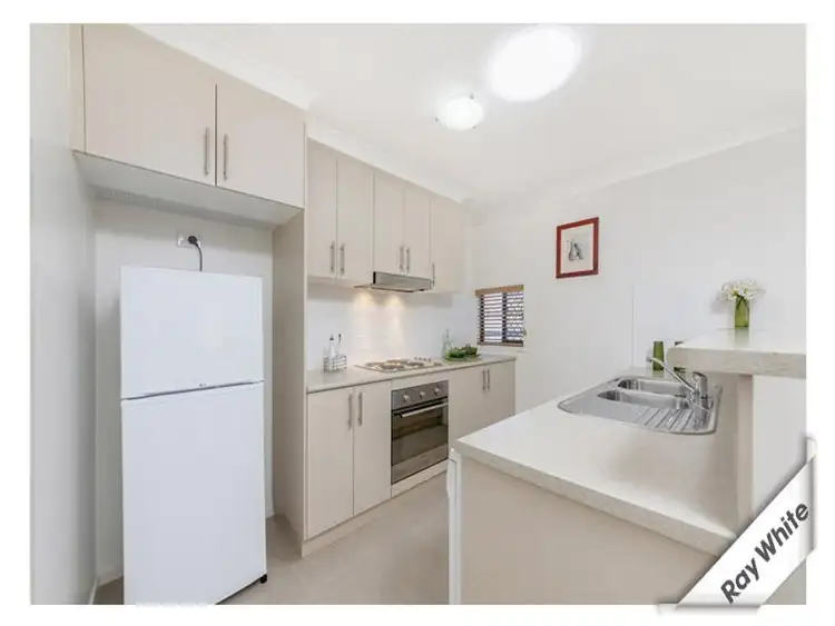 Seventh view of Homely house listing, 19 Jean Macnamara Street, Macgregor ACT 2615