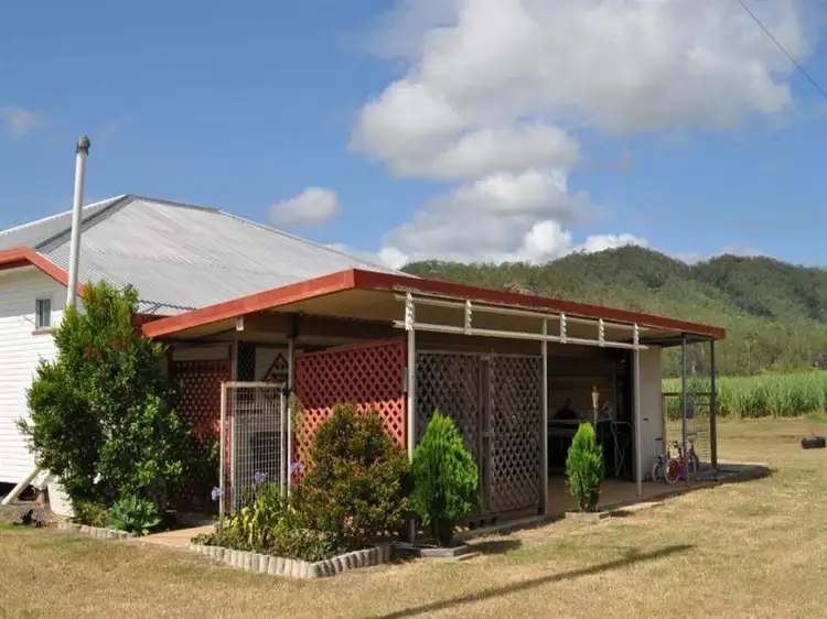 Second view of Homely rural property listing, 994 Mt Martin Loop Road, Mount Martin QLD 4754