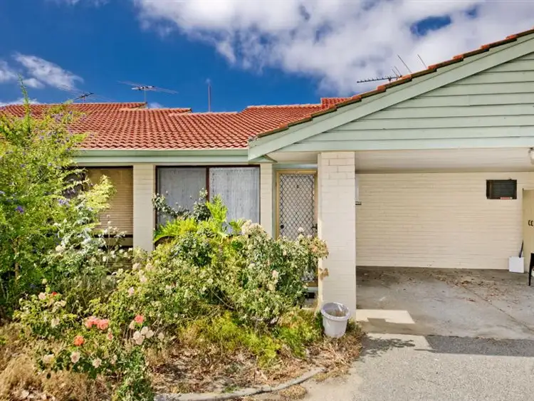 Main view of Homely house listing, 5/149 Wanneroo Road, Tuart Hill WA 6060