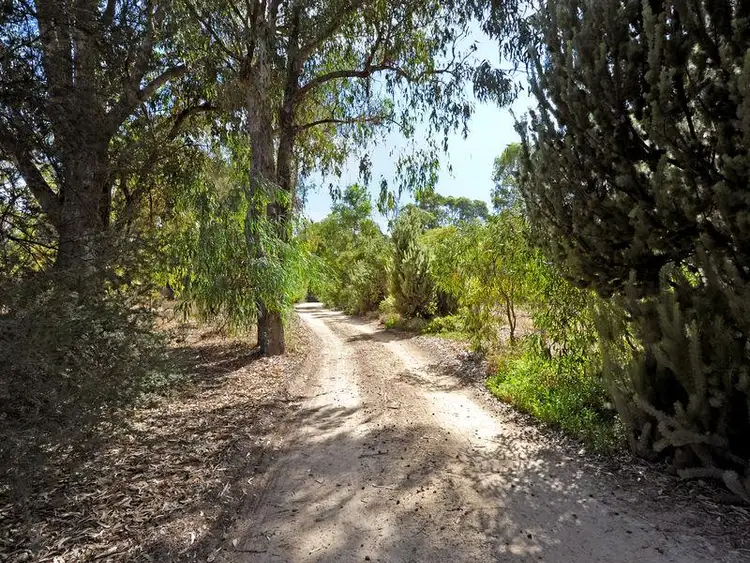 Fifth view of Homely house listing, 34 Karri Street, Karnup WA 6176