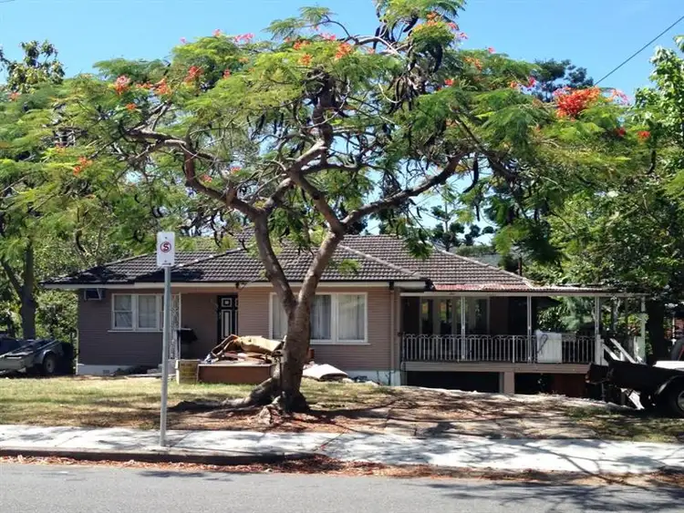 53 Burbong Street, Chapel Hill QLD 4069