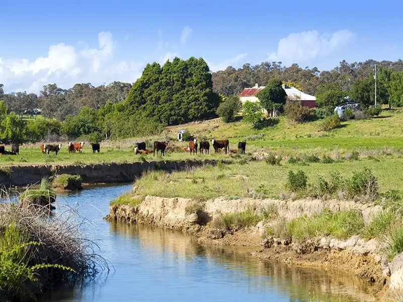 Main view of Homely house listing, "wandi" Hume Highway, Marulan NSW 2579