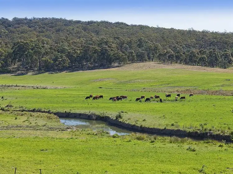Fifth view of Homely house listing, "wandi" Hume Highway, Marulan NSW 2579