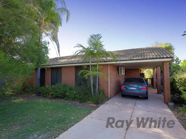 Main view of Homely house listing, 13 Chancery Crescent, Willetton WA 6155