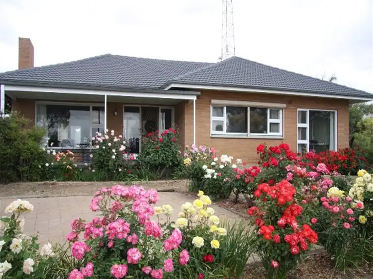 Main view of Homely house listing, 12964 Sturt Highway, Waikerie SA 5330