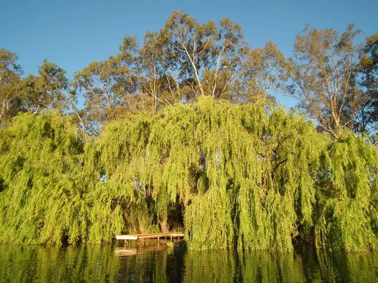 Third view of Homely house listing, 40 Baxters Road, Nagambie VIC 3608