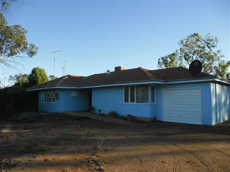 7 Livingstone Street, Perenjori WA 6620