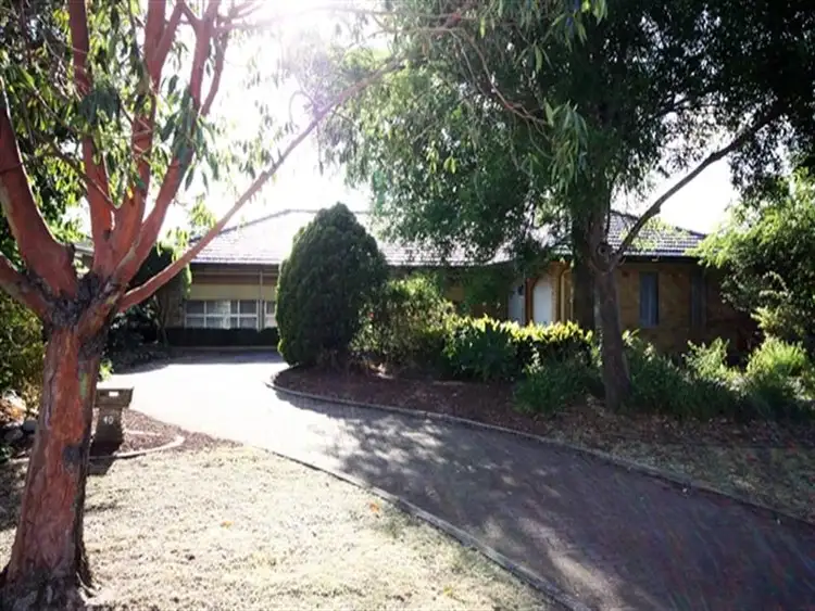 Address available on request