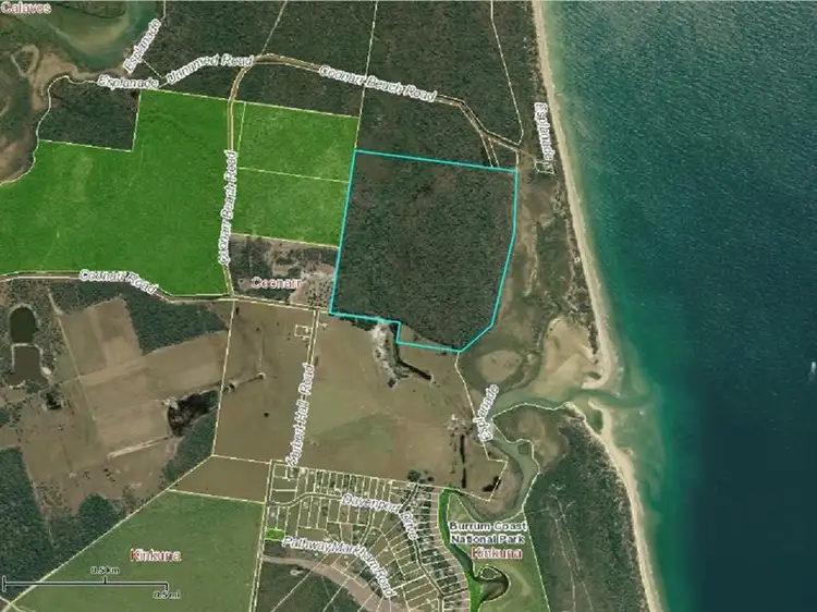 Main view of Homely rural property listing, LOT 1 Herbert Hall Road, Coonarr QLD 4670
