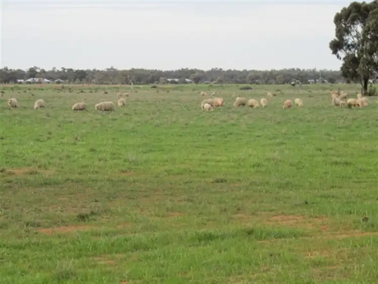 Seventh view of Homely house listing, 144 Racecourse Road, Deniliquin NSW 2710