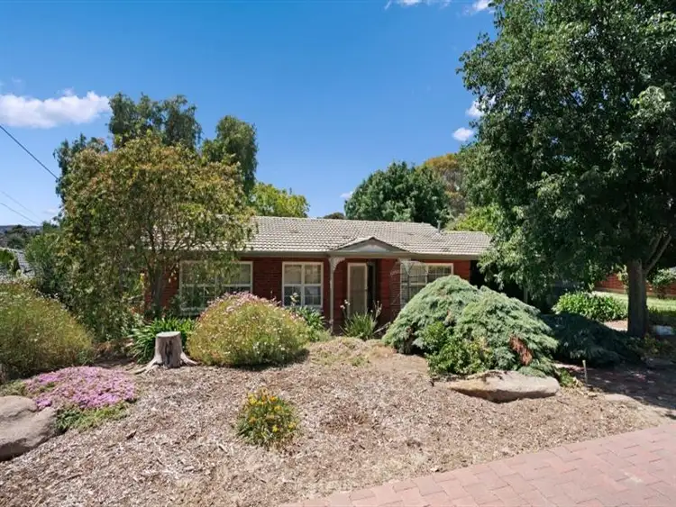 3 Clare Avenue, Athelstone SA 5076