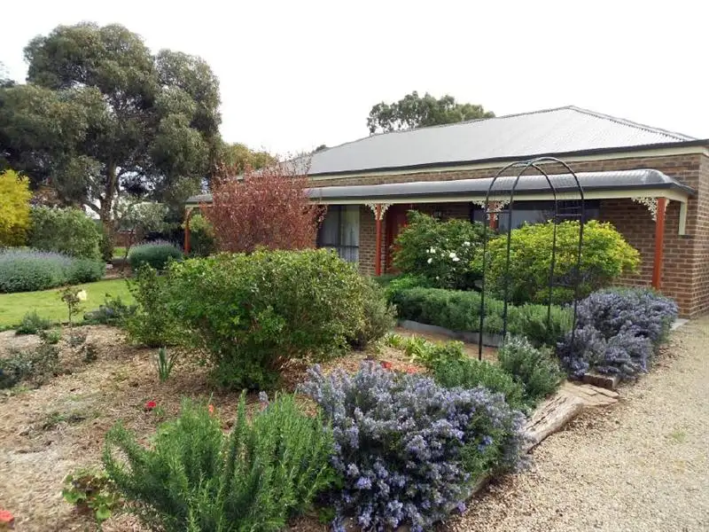 Main view of Homely house listing, 203 South Avenue, Bordertown SA 5268