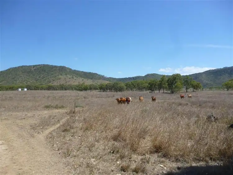 Main view of Homely rural property listing, 42 Gum Tree Avenue, Bouldercombe QLD 4702