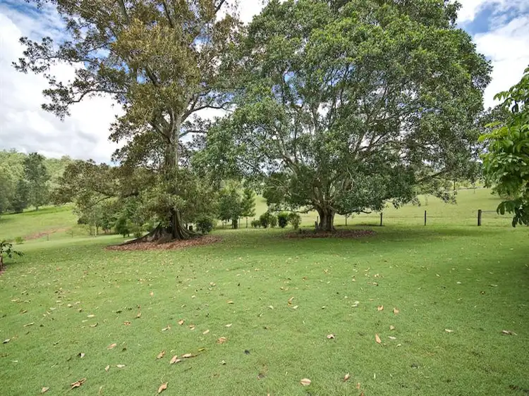 Fifth view of Homely house listing, 55 Pringles Road, Samsonvale QLD 4520