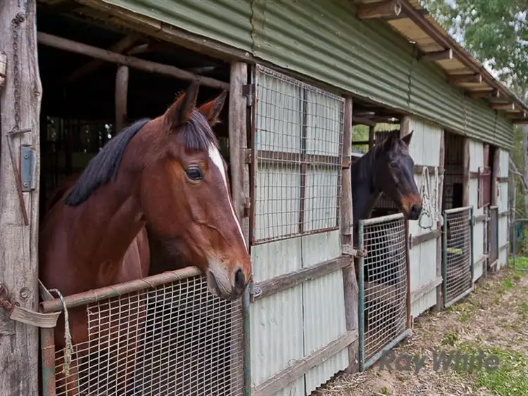Fourth view of Homely house listing, 24 Gymkhana Place, Dayboro QLD 4521