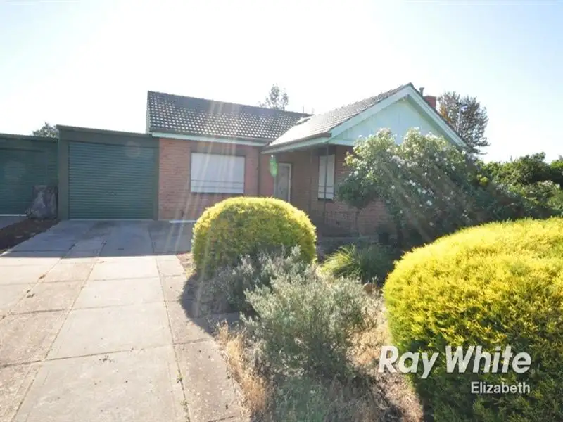 Main view of Homely house listing, 16 Berberis Street, Elizabeth Vale SA 5112