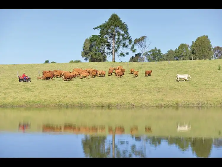 Seventh view of Homely house listing, 81 Settlement Road, Mount Mee QLD 4521