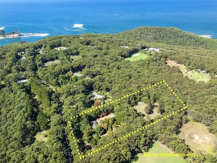 Main view of Homely house listing, 51 Maitland Bay Drive, Killcare NSW 2257