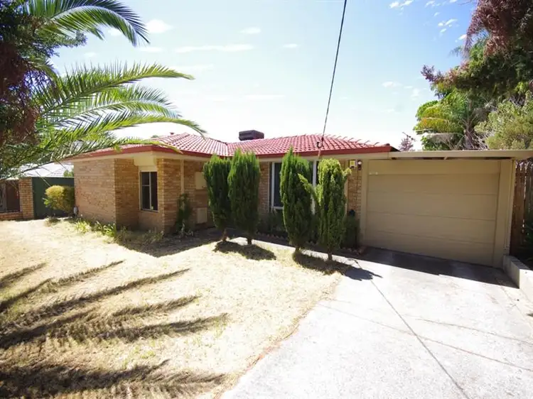Main view of Homely house listing, 19 Oakleaf Circle, Mirrabooka WA 6061