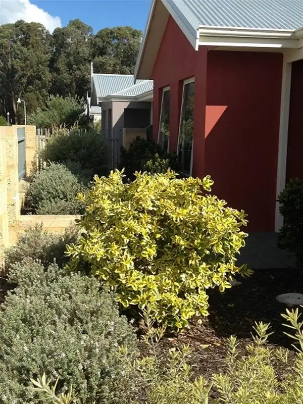 Second view of Homely house listing, 11 WHITECAP Street, Yanchep WA 6035