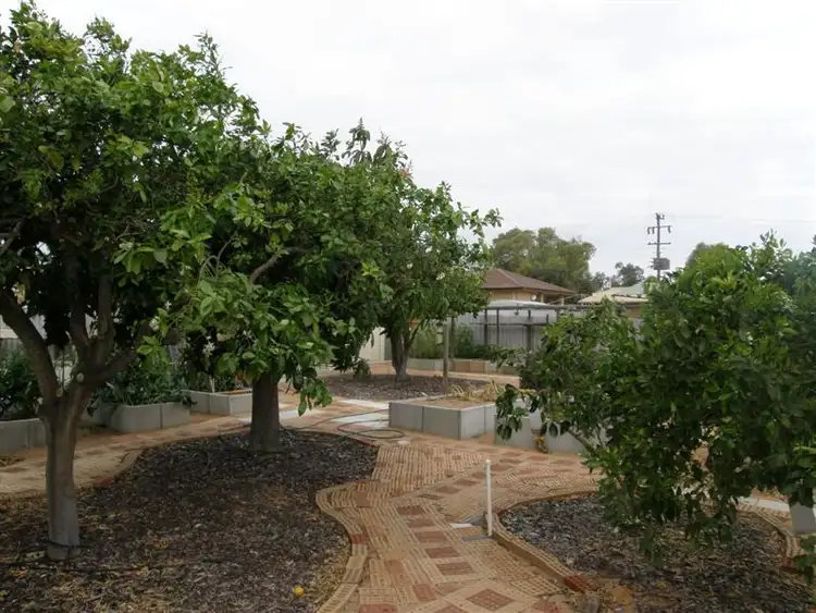 Third view of Homely house listing, 11 Chick Place, Kalbarri WA 6536