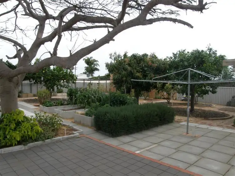 Second view of Homely house listing, 11 Chick Place, Kalbarri WA 6536