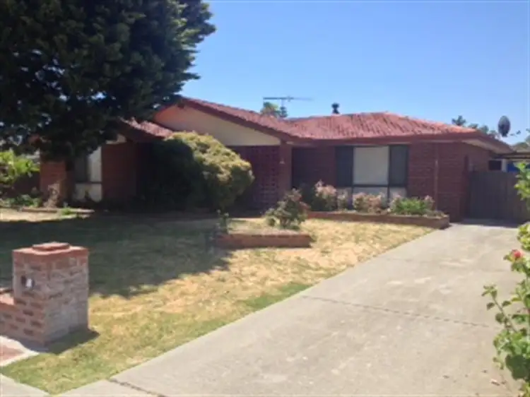Main view of Homely house listing, 41 Willmott Drive, Cooloongup WA 6168