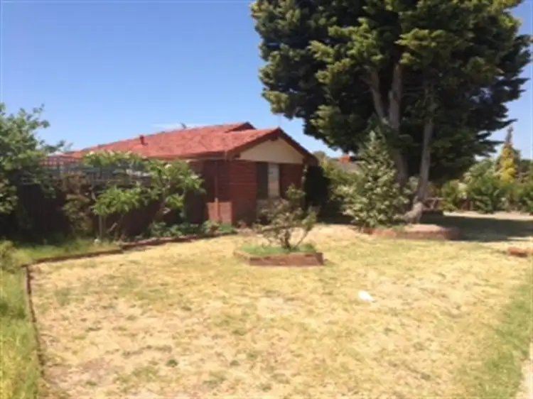 Second view of Homely house listing, 41 Willmott Drive, Cooloongup WA 6168
