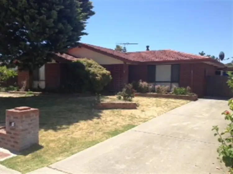 Third view of Homely house listing, 41 Willmott Drive, Cooloongup WA 6168