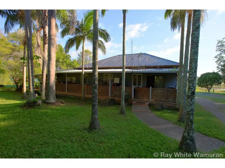 Second view of Homely house listing, 919 D'Aguilar Highway, Wamuran QLD 4512