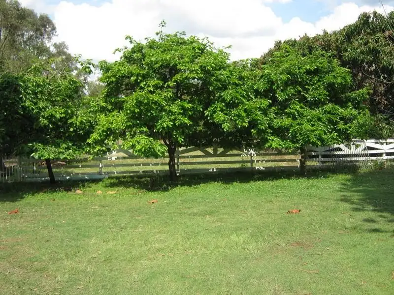 Main view of Homely rural property listing, 139 Woogaroo Street, Ellen Grove QLD 4078