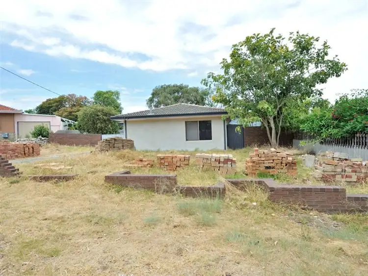 Main view of Homely house listing, 19 Dent Court, Orelia WA 6167
