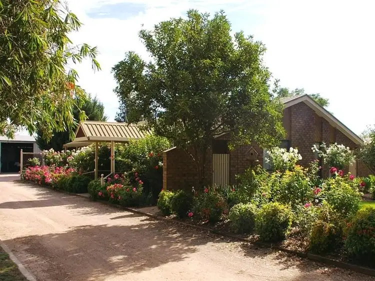 Main view of Homely house listing, 20233 Renmark Avenue, Renmark SA 5341
