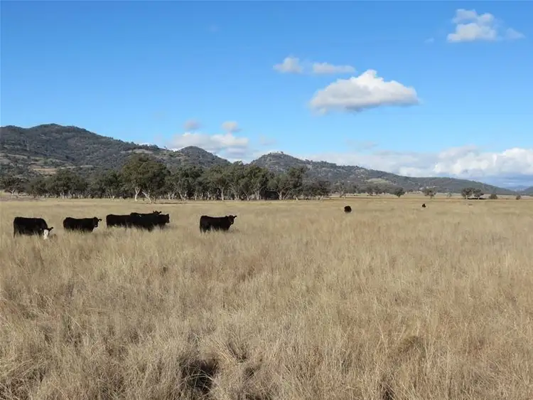 201 Yorks Road, Quirindi NSW 2343