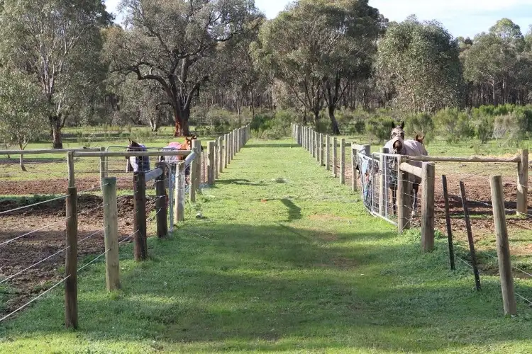 Third view of Homely rural property listing, 86 Palling Road, Heathcote VIC 3523