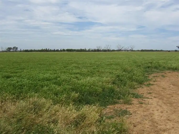 Fifth view of Homely rural property listing, - Thomas Road, Dingee VIC 3571