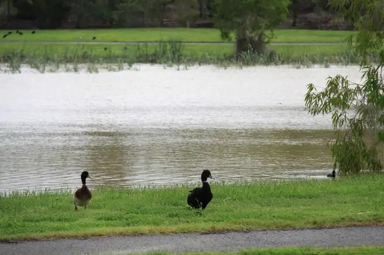 Seventh view of Homely land listing, 4 Stoney Court, Tannum Sands QLD 4680