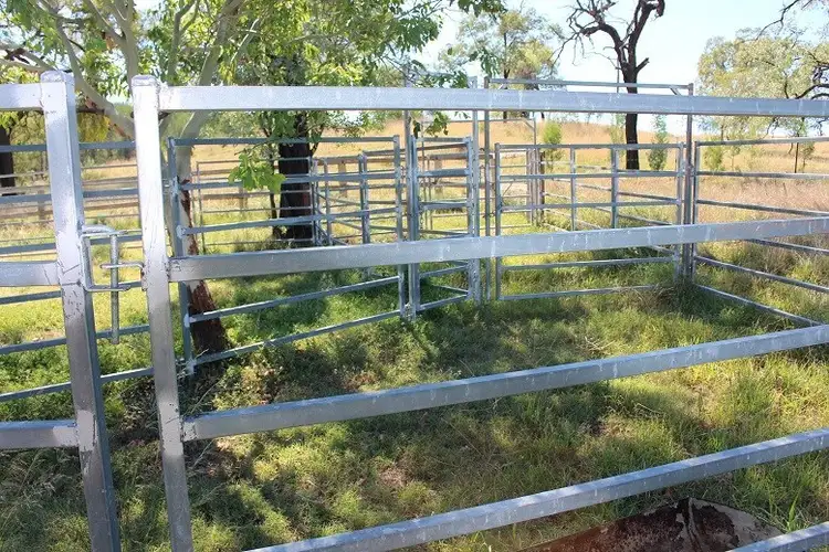 Fifth view of Homely rural property listing, 733 Upper Whitlow Road, Bingara NSW 2404