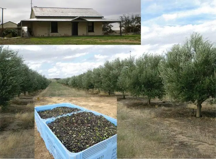 Lot 52  5257 Mallee Highway, Jabuk SA 5301