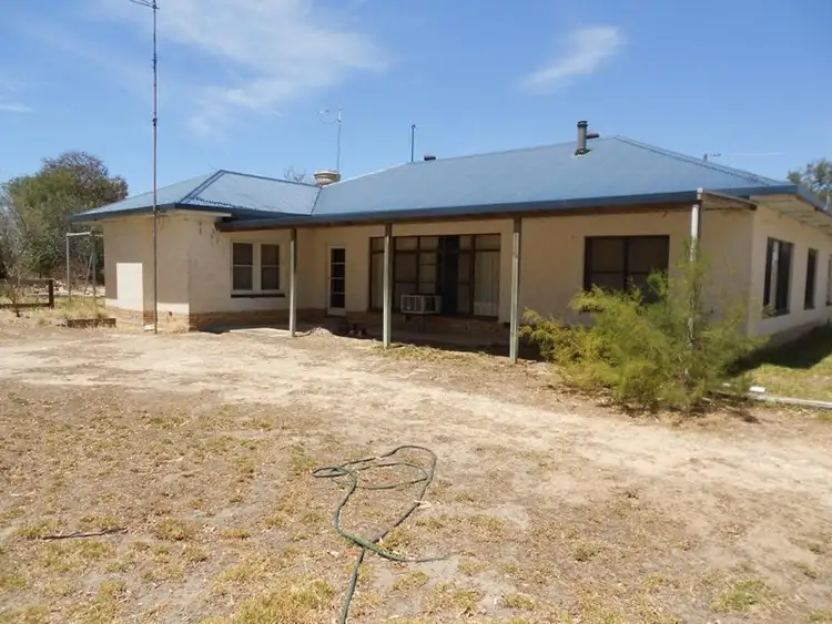 Third view of Homely rural property listing, 4703 Emu Flat Road, Bordertown SA 5268