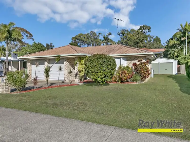 42 Agnes Street, Birkdale QLD 4159