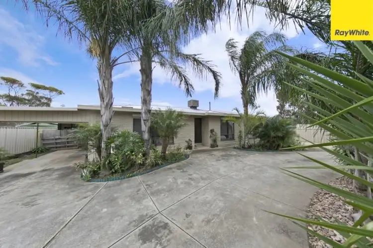Main view of Homely house listing, 41 Haines Road, Willaston SA 5118