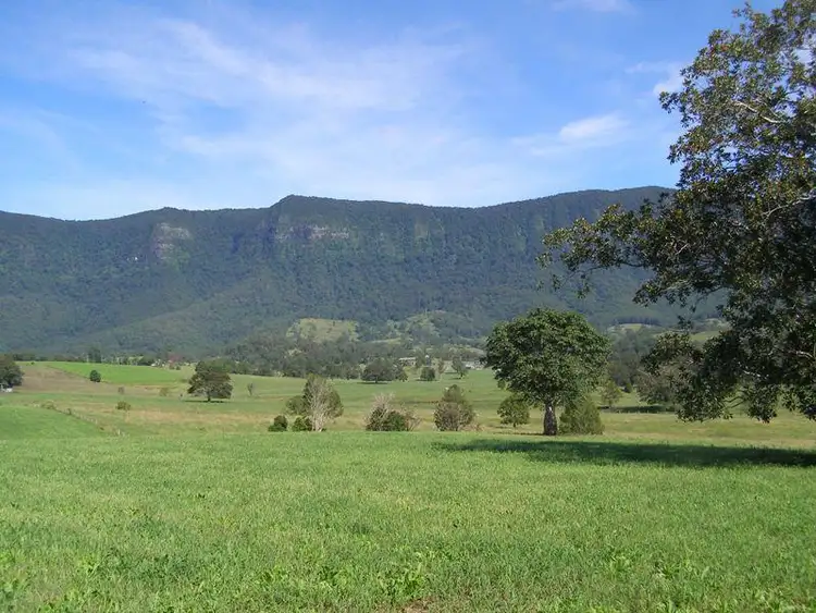 Sixth view of Homely rural property listing, Lot 81 South Pumpenbil Road, Tyalgum NSW 2484