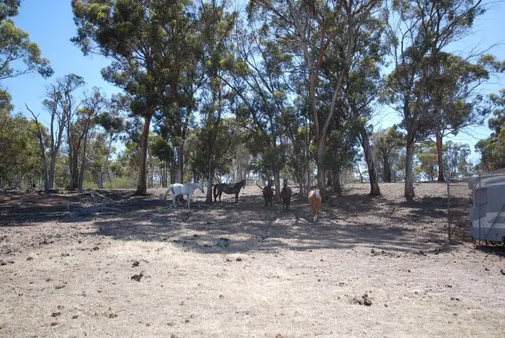 Lot 23 Comini Road, Narrogin WA 6312
