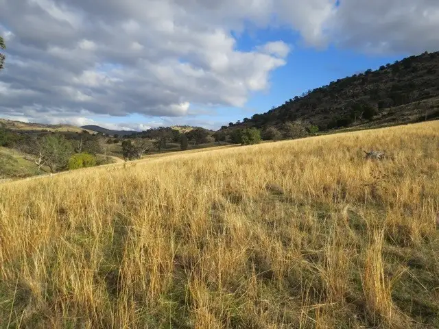 Fifth view of Homely rural property listing, Lot 141 Tarrants Gap Road, Wyangala NSW 2808