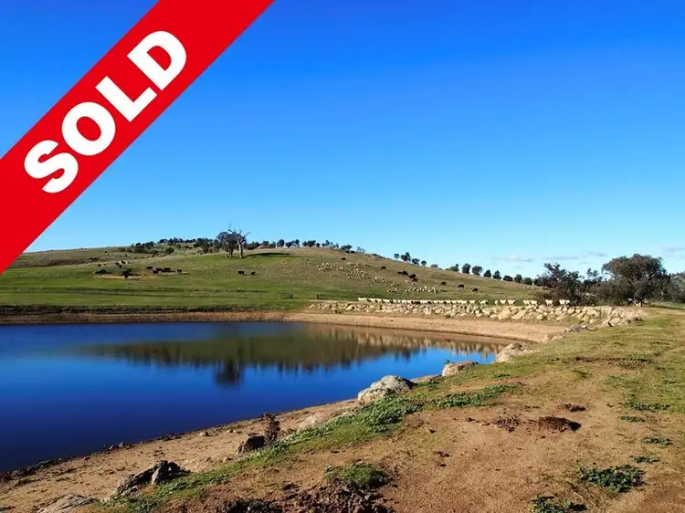 Sixth view of Homely rural property listing, 446 Oura Road, Wagga Wagga NSW 2650