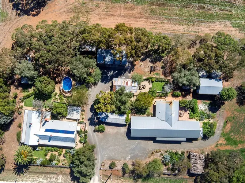Main view of Homely house listing, 787 Lindsay Park Road via ANGASTON, Moculta SA 5353