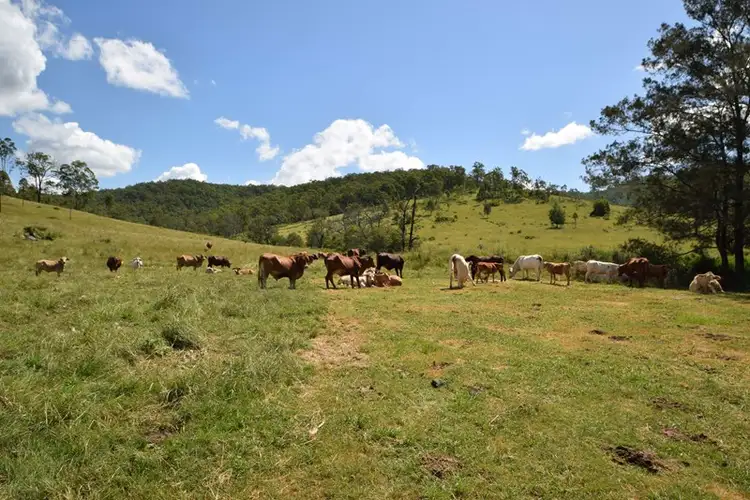Second view of Homely rural property listing, 82 Yagara Road, Buaraba QLD 4311