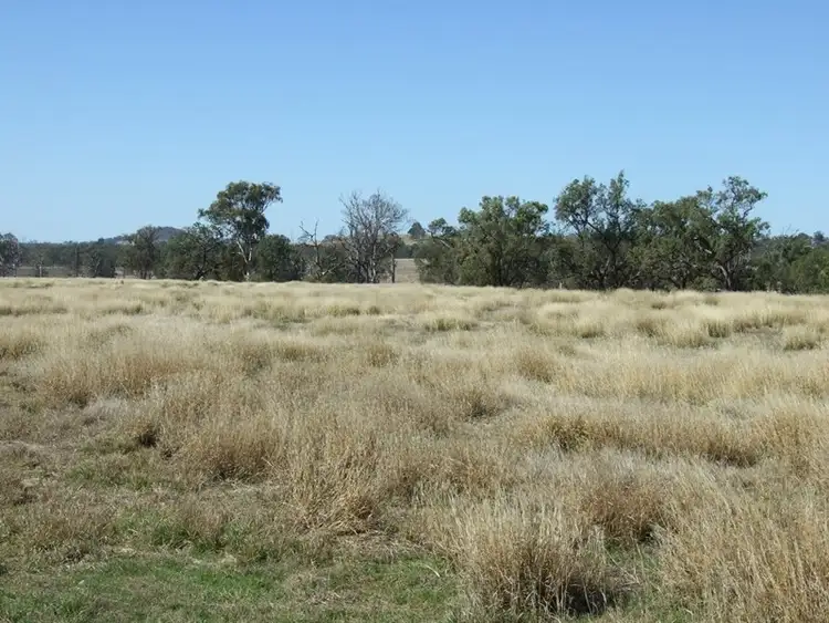 Sixth view of Homely rural property listing, 233 Coalbank Road, Crows Nest QLD 4355